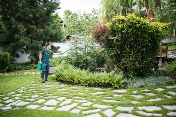 Best Tree Cabling and Bracing  in Laurens, IA